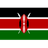 Kenya W logo