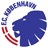 FC Copenhagen logo